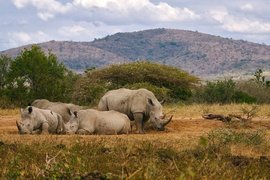 Boomerang Reisen – Spezialist für individuelle Fernreisen weltweit