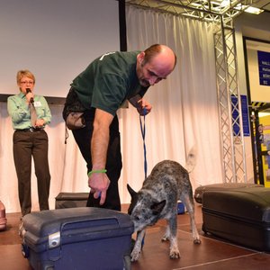 Reisemesse 2016, Messeimpression