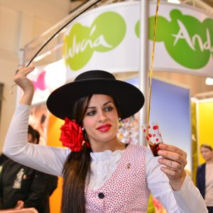 Reisemesse 2016, Messeimpression